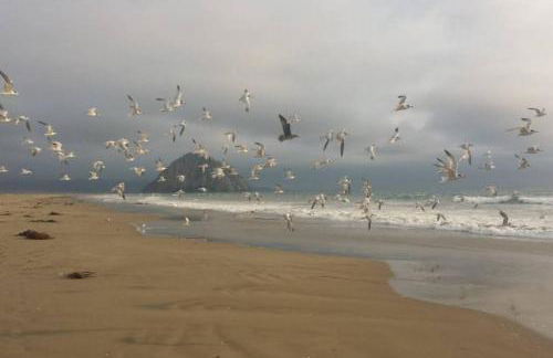 Harbor House in Morro Bay - Foto 33