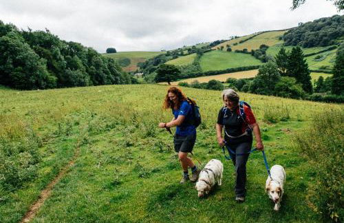 1 Bed in Drefach oc-m30848 - Foto 22