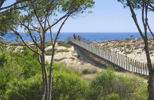 Sunny Lounge Apartment - Photo 32