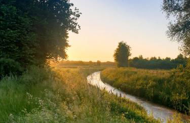 Eulennest Emsland - Foto 36