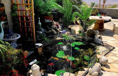 Mineral Saltwater Solar heated Pool & Spa Oasis with mountain views and Koi pond - Foto 29