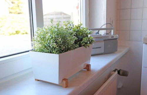 Ostsee Reetkate - Foto 9