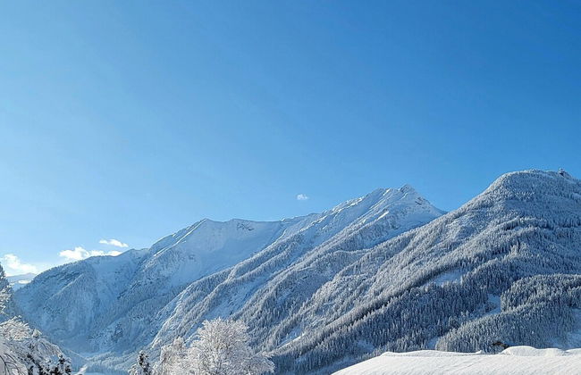 Apartment in Hohe Tauern Near Wildkogel Arena - Foto 24