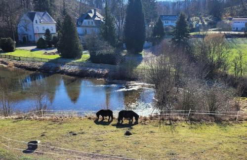 Ferienwohnung Landidyll, Whirlpool, Minipigs, Ponys, Familien - Foto 15