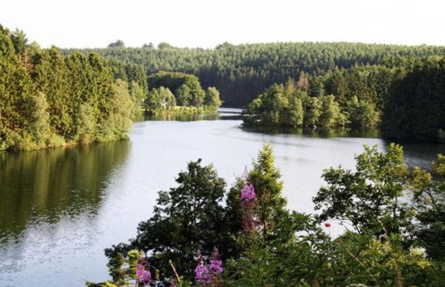 Robertville Lakeview Escape - Photo 40