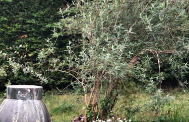 Condrieu et parking voiture vélo 2 ème étage - Foto 64