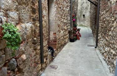 Casa antica Maremma Toscana - Foto 47