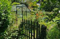 Au séchoir à Tabac - Foto 37