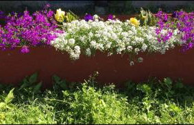 Private, Quiet Vermont Studio With Mountain Views - Foto 10