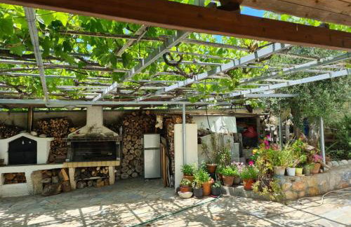 Villa Katerina Apartments - Foto 31