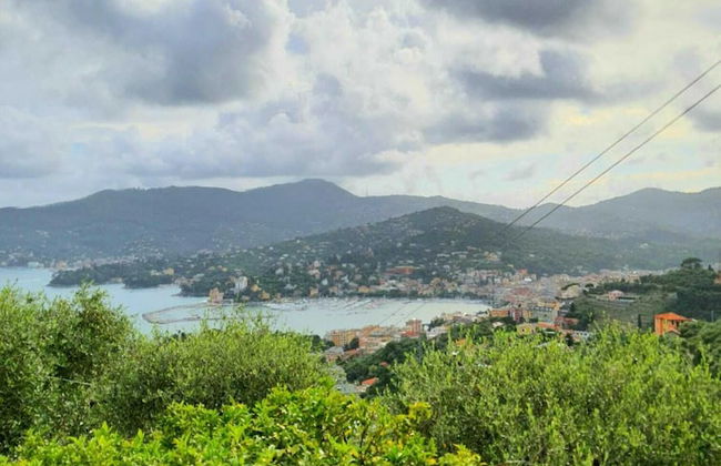 Villino degli Ulivi - Foto 8