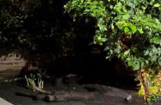 Douro Pateo House - Foto 4