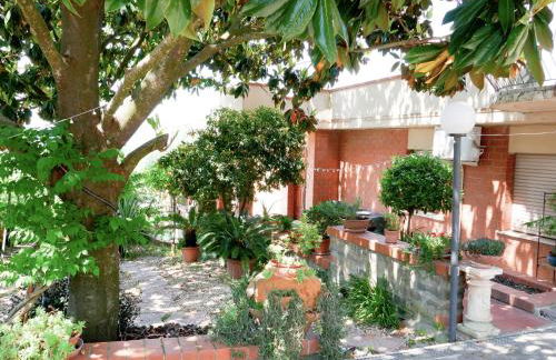 Le Magnolie Paliano appartamento 120 mq - Foto 1