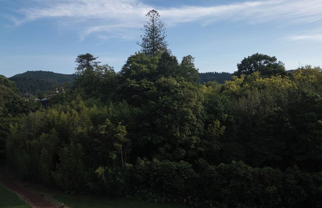 Canto's Green Garden & SPA - Foto 64