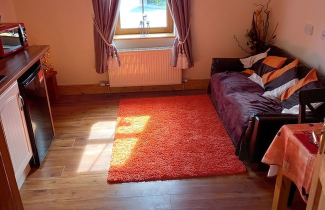 Stunning 1-bed Apartment Valentia Island - Photo 3