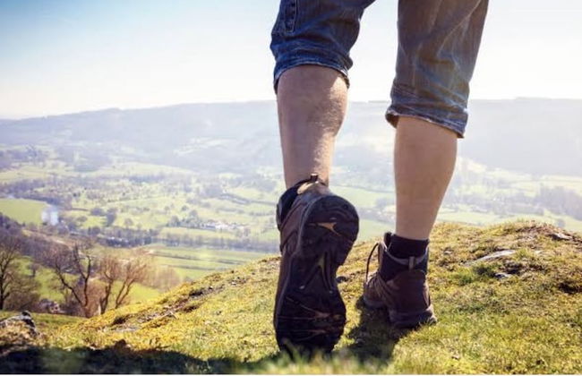 The Orchard House - Foto 24