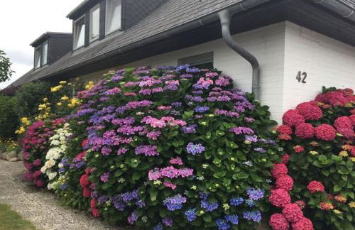 Süderhof Apartment 2 - Foto 14