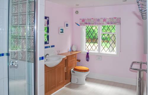 Silverland - Photo 10