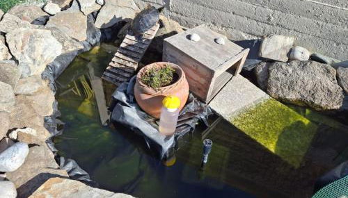 bajo independiente de casa en vigo - Foto 5