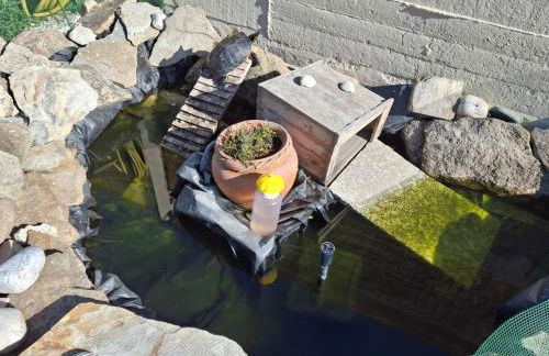 bajo independiente de casa en vigo - Foto 5