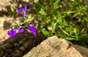 L’Oustau de Célia - Foto 17