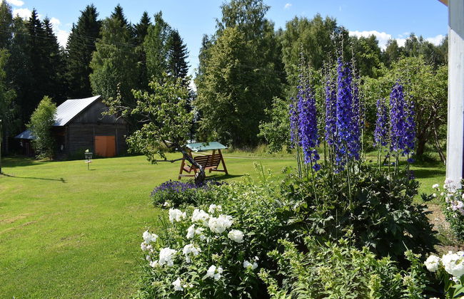 Karjalan Helmi - Foto 34