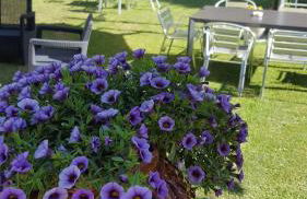 Aparta-Hotel Puertolas - Photo 26