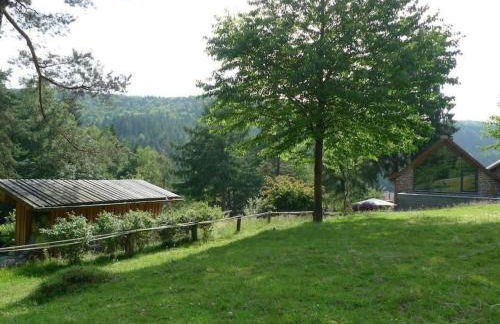 Holiday Home in Walscheid mit Terrasse- Grill by Interhome - Foto 29