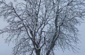 Ferienwohnung Tina - Foto 26