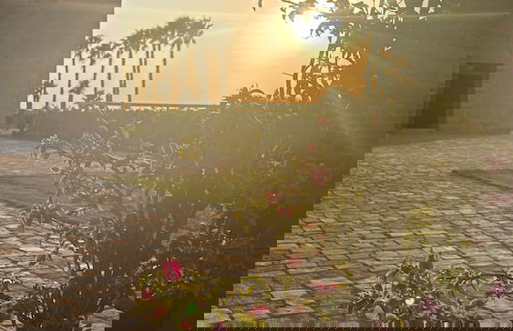 Masseria Torleanzi - Wine Relais - Foto 49