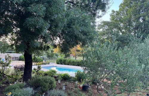 Villa Botanica - Lush Garden and Pool Oasis - Foto 18