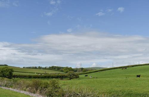 Pine Lodge - Uk30007 - Foto 22