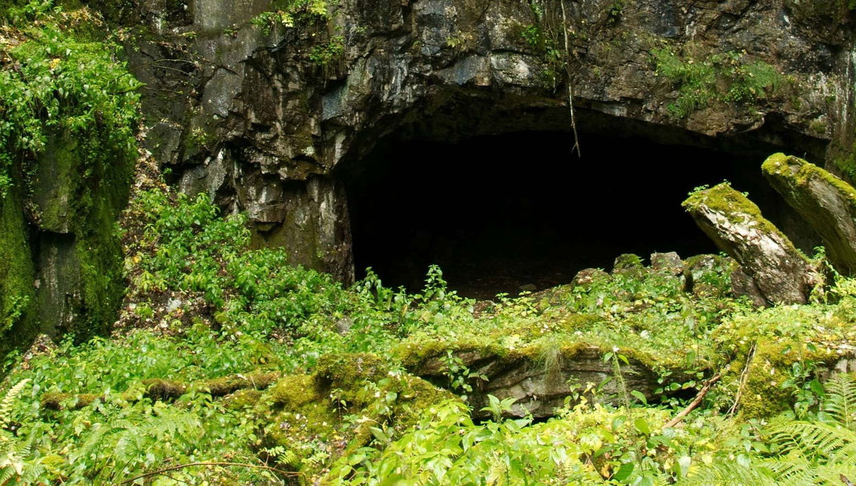 Trip to the Widow's Cave