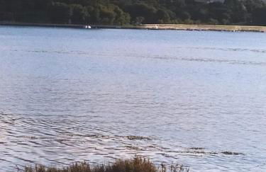 Casa Mar de Ardora - Foto 11