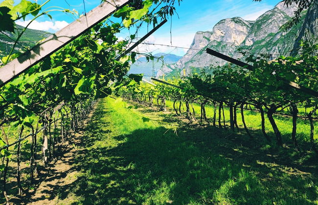 Antico Fienile Agritur - Foto 41