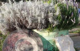 Mary's Garden - Foto 30