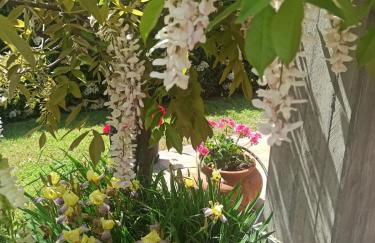 Casa Furia - Foto 40