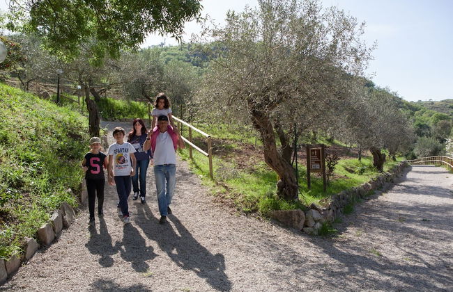 Agriturismo Al Poggetto - Photo 48