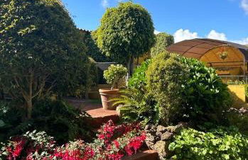 Finca El Trazo - Foto 37