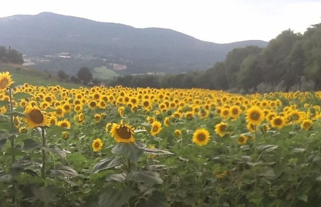 Agriturismo Palazzo Bello - Foto 70