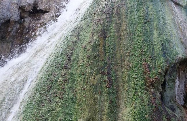 Cuevas Almagruz - Foto 29