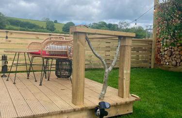 Coedydd - Woods - Foto 23