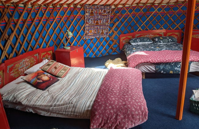 Inch Hideaway Eco Glamping - Foto 23