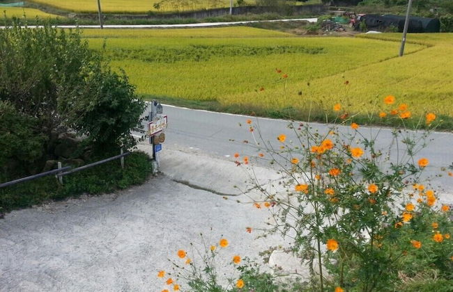 Good Relation Villa - Foto 49