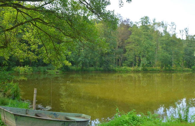 Ardennes Castle Retreat for Groups - Foto 37