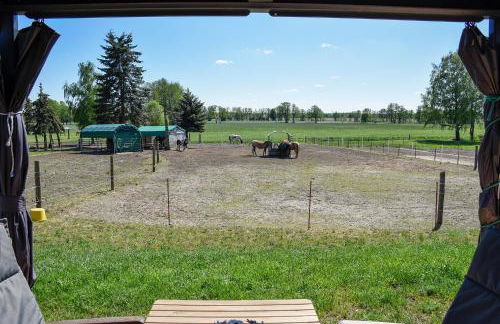 Barrierefreie Ferienwohnung Trüben (Zerbst/Anhalt) - Foto 6