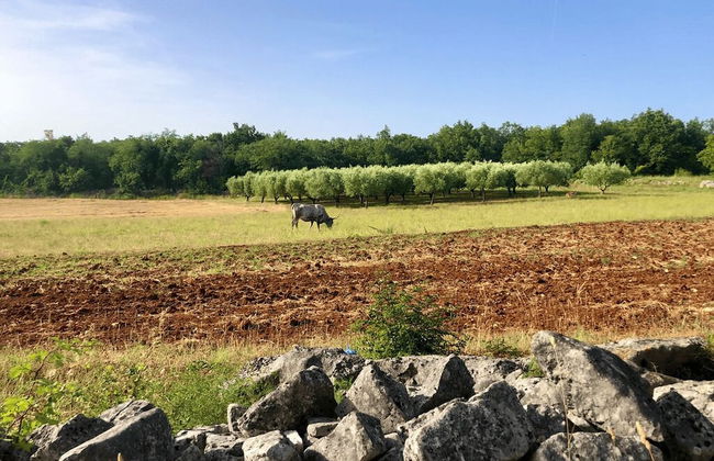 Room in Studio - Enchanting Escapade in Krsuli - Foto 7