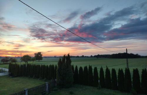 Siedlisko Jelonki - Foto 7