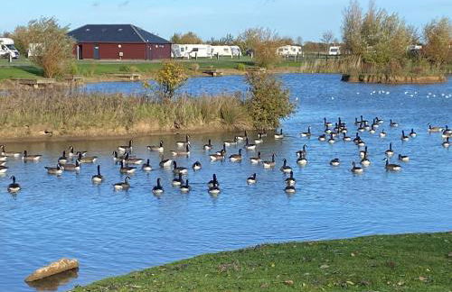 40A Oak Village- 2 Bedroom Lodge on Grange Leisure Park - Foto 77