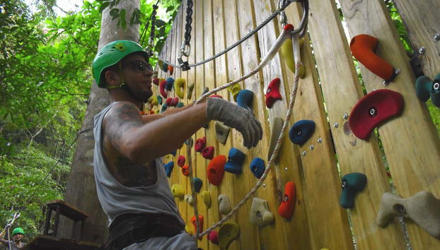 Billet pour le parc d'attraction Rainforest Atlantic - Photo 5